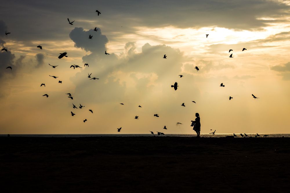 Photograph by Sam Moses