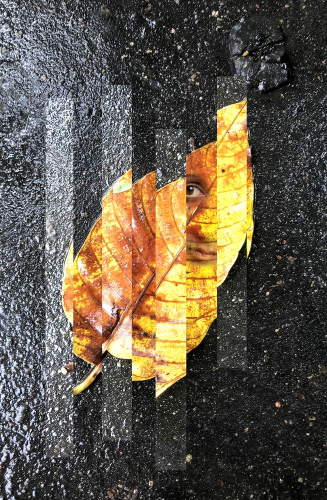 Photograph by Kaushik Dolui