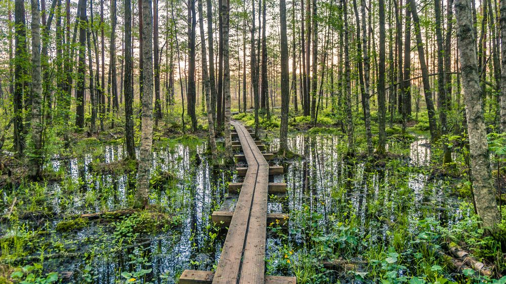 Photograph by Nikolai Mordan