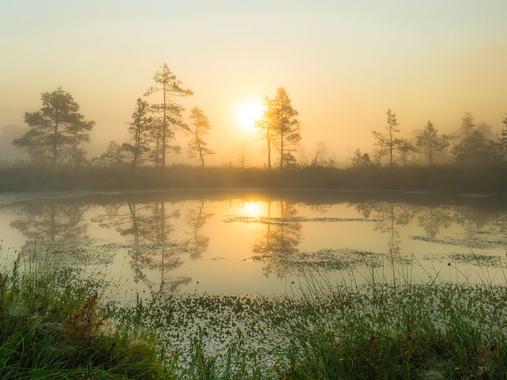 Photograph by Nikolai Mordan