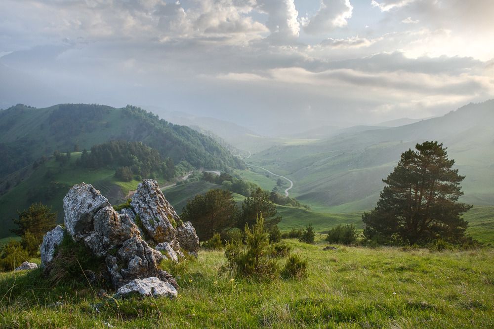 Photograph by Леонид Синев