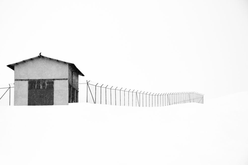 Photograph by Atefeh akbari