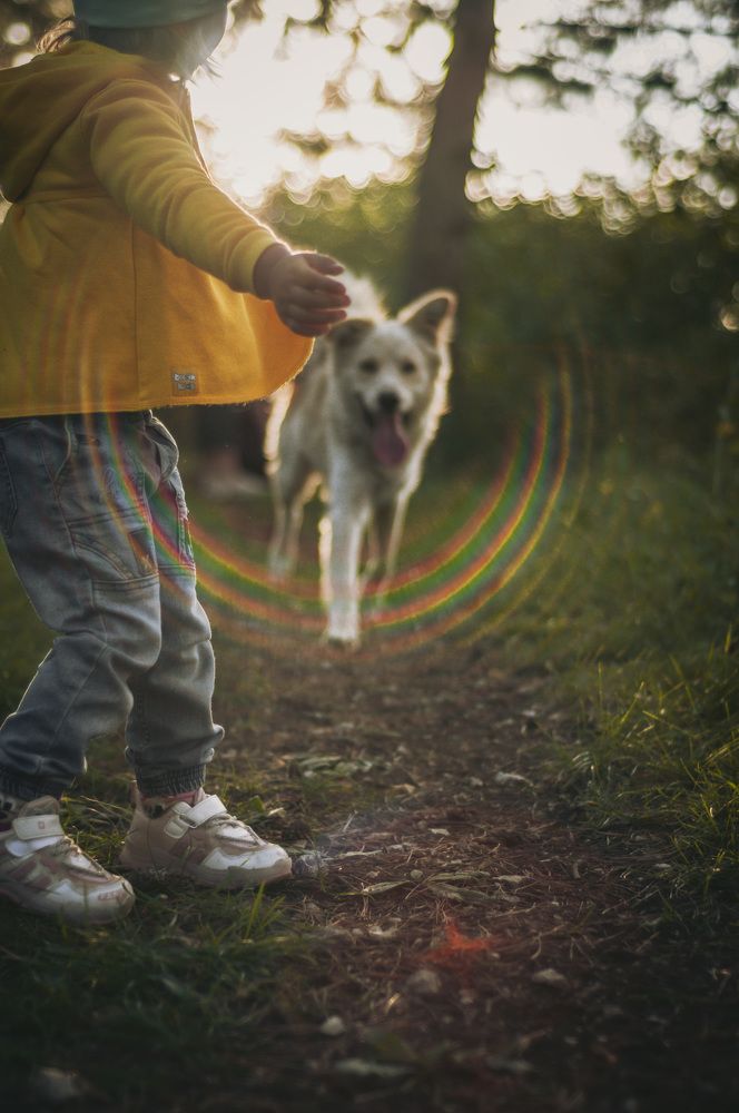 Photograph by Фомин Алексей