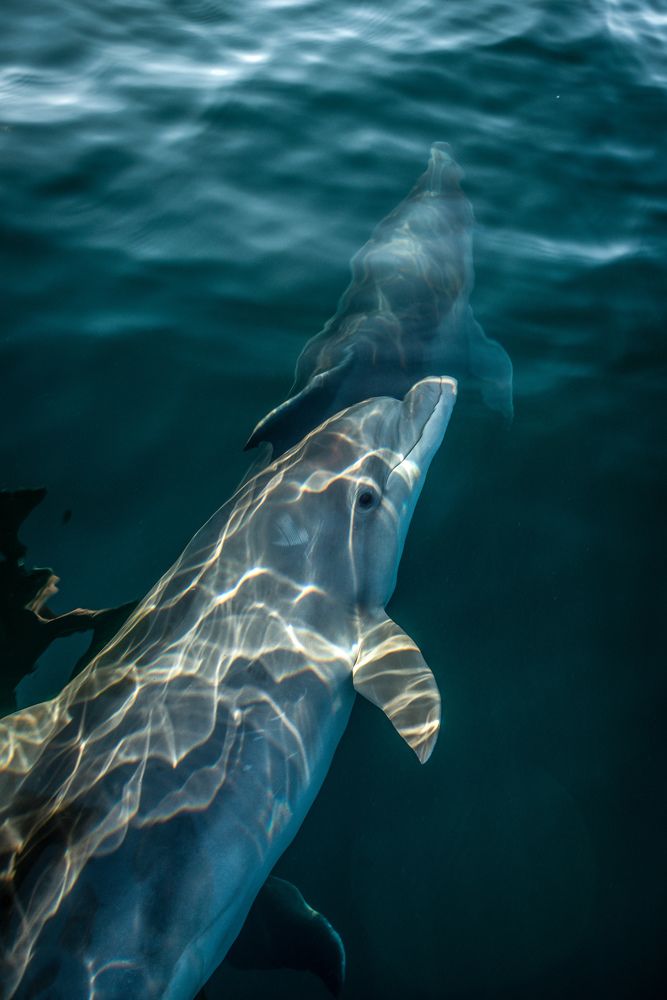 Photograph by Anastasia