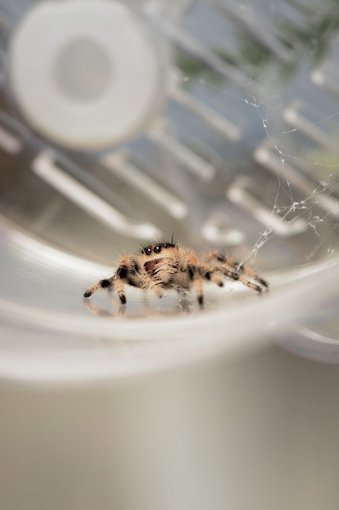 Photograph by Эмилия Лаце