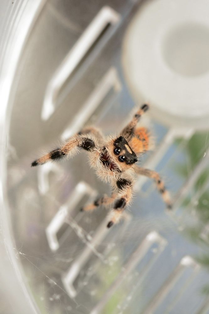 Photograph by Эмилия Лаце