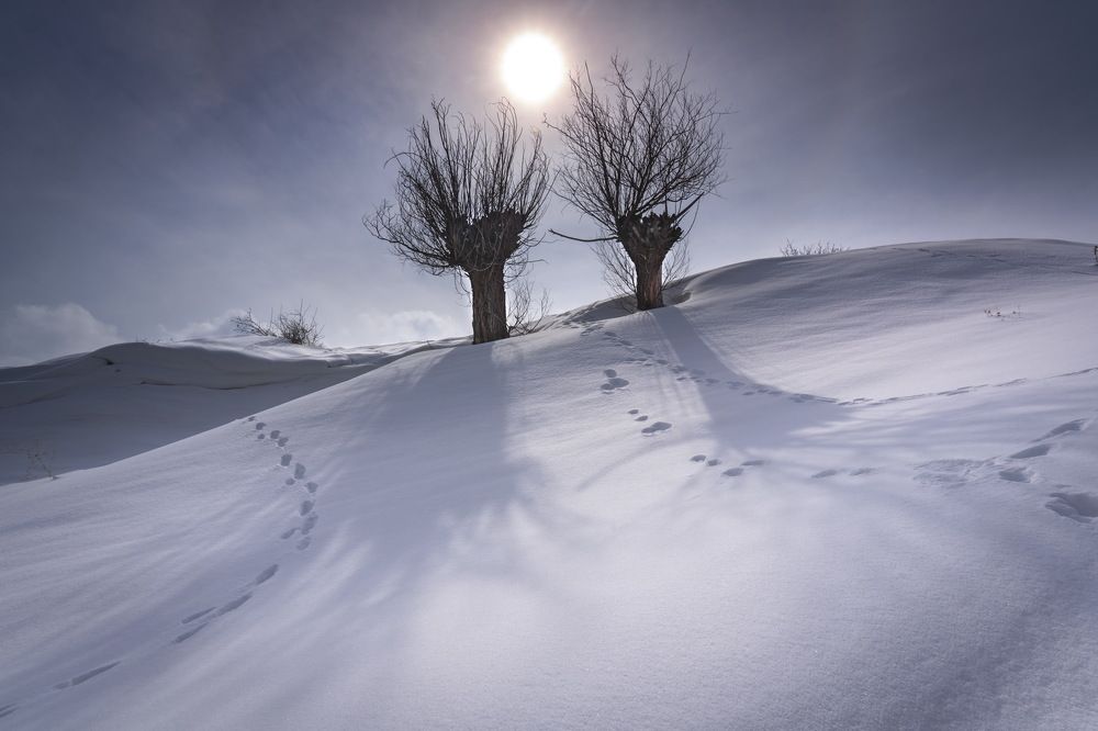 Photograph by majid hashemi