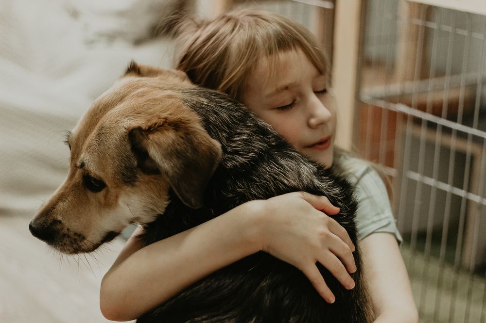 Photograph by Елена Андреевна Зиновьева