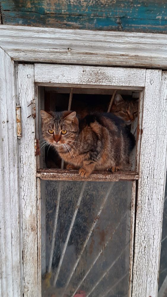 Photograph by Ольга Новоселова