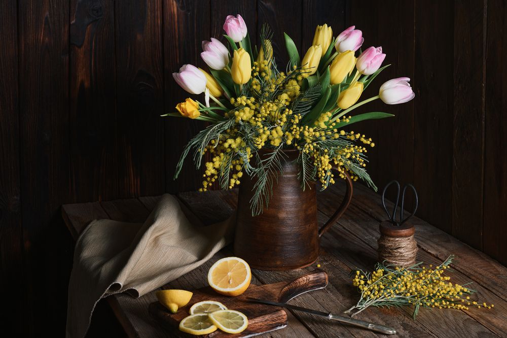 Photograph by Anastasia Steiner