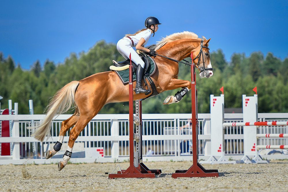 Фотография автора Ольга Руднева