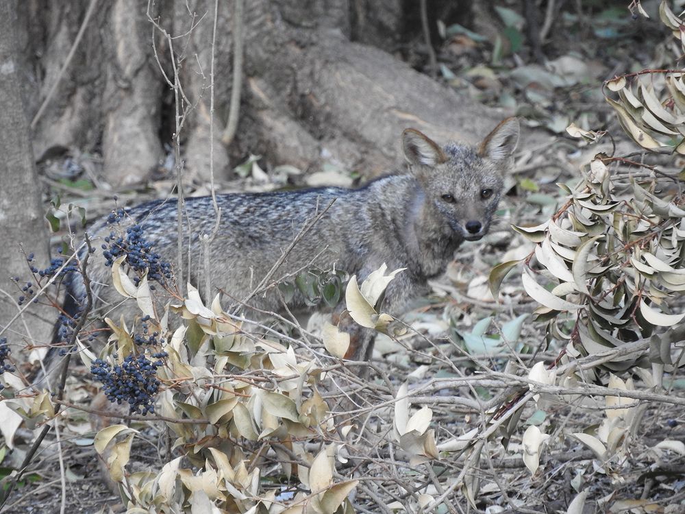 Photograph by Cristina Bosio Ferrer