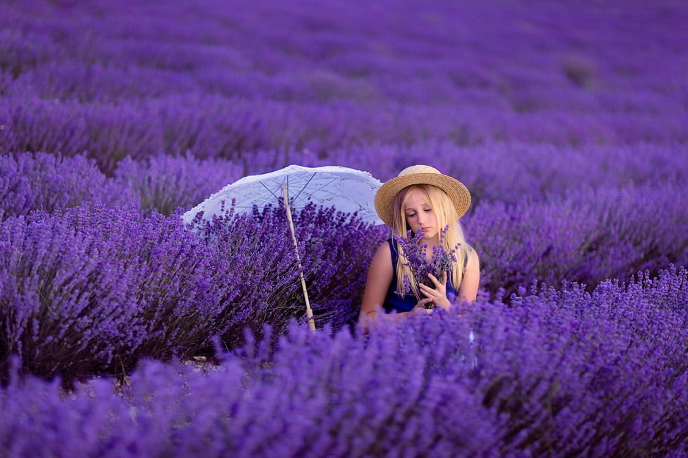 Фотография автора Анастасия Полякова