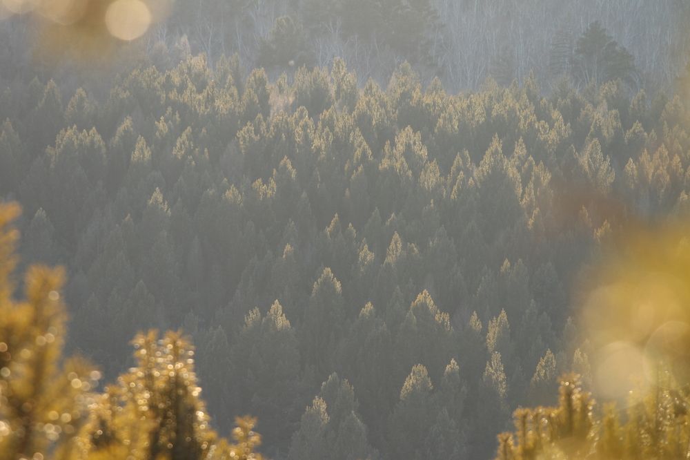 Photograph by Алексей Маевский