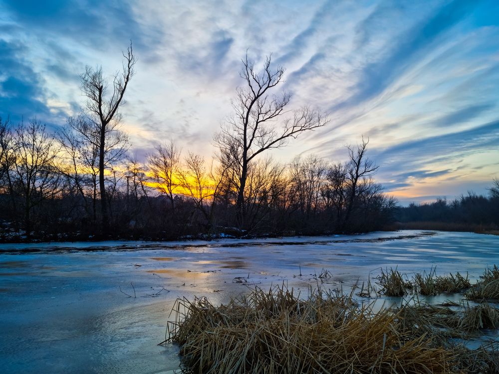 Фотография автора Анна Власенко