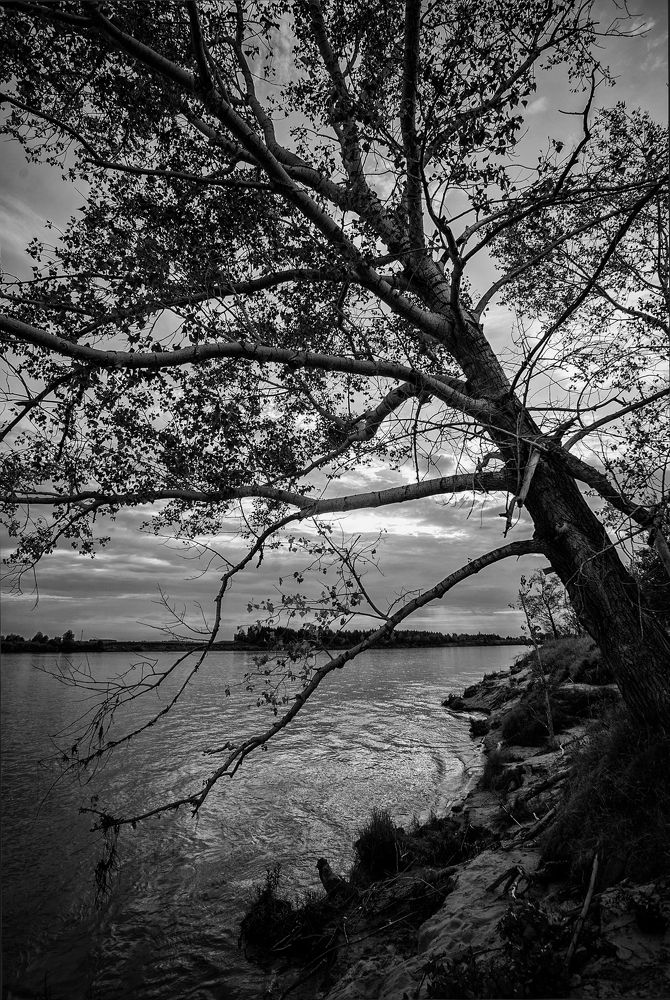 Photograph by Матвей Краузе