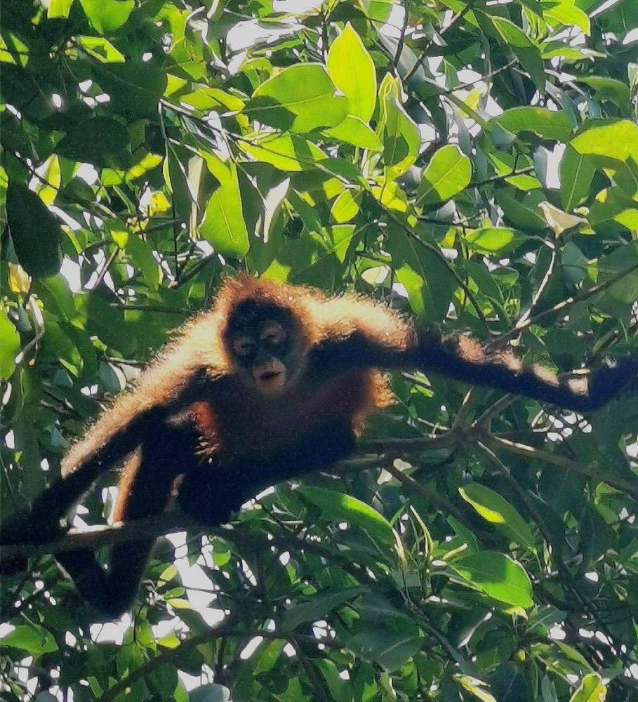 Photograph by Virginia Azocar Contreras