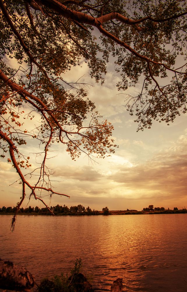 Photograph by Матвей Краузе