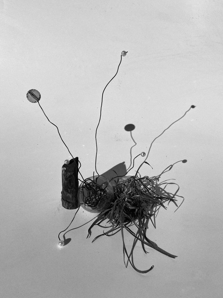 Photograph by Ольга Мурзина