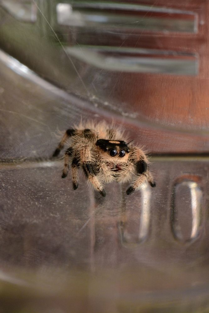 Photograph by Эмилия Лаце