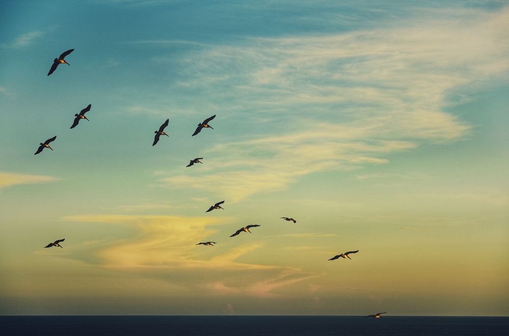 Фотография автора Gabriela Bonilla