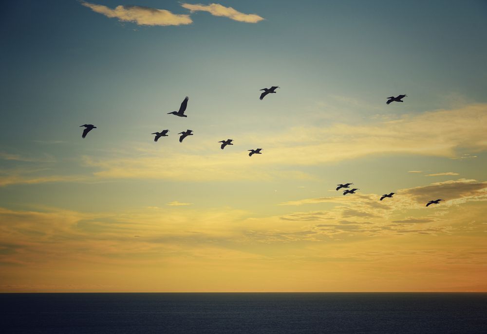 Фотография автора Gabriela Bonilla