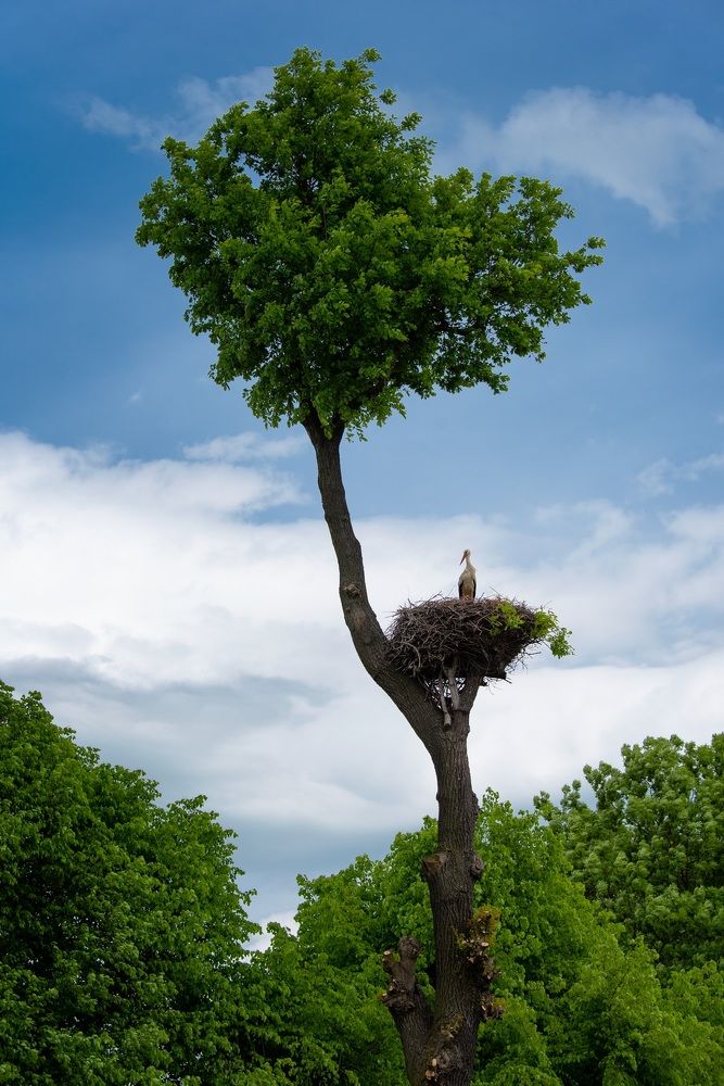 Photograph by Jan Ulicki