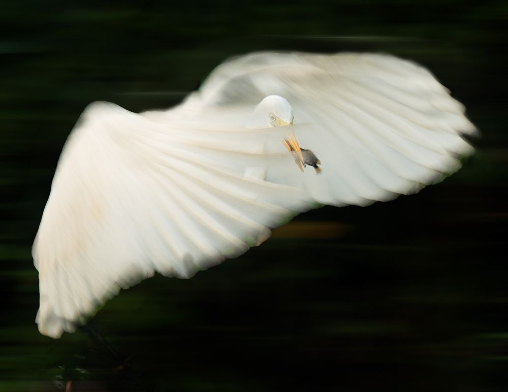 Photograph by Roshana Prasad