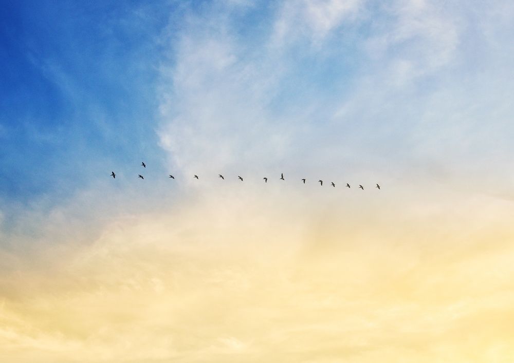 Фотография автора Gabriela Bonilla