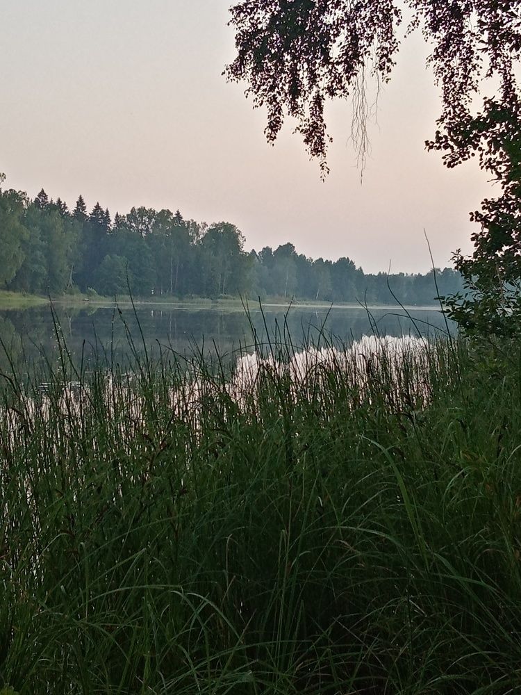 Photograph by Сергей Розочкин