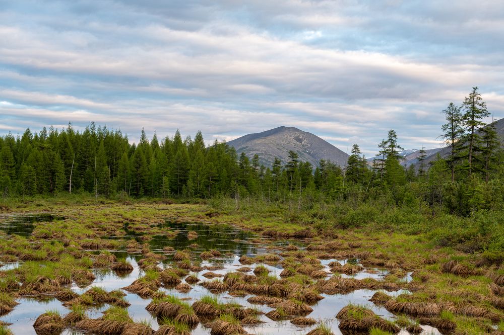 Photograph by Антон Жирнов