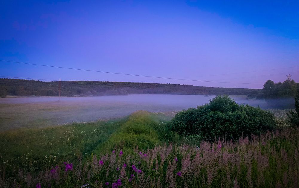 Photograph by Юлия Чиклеева