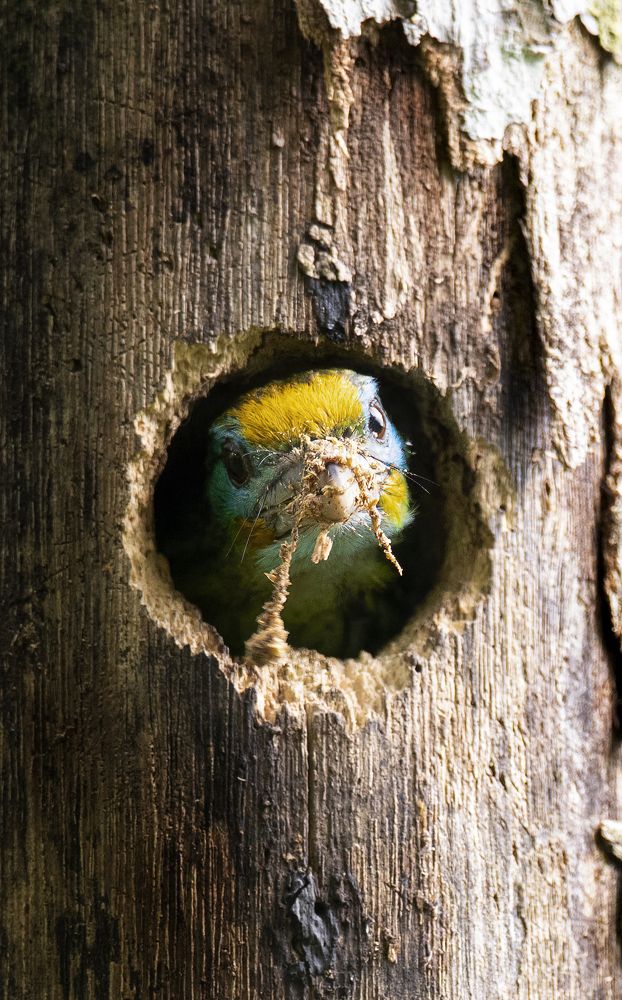 Photograph by Roshana Prasad