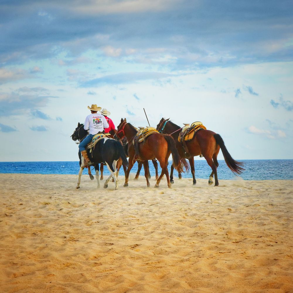 Фотография автора Gabriela Bonilla