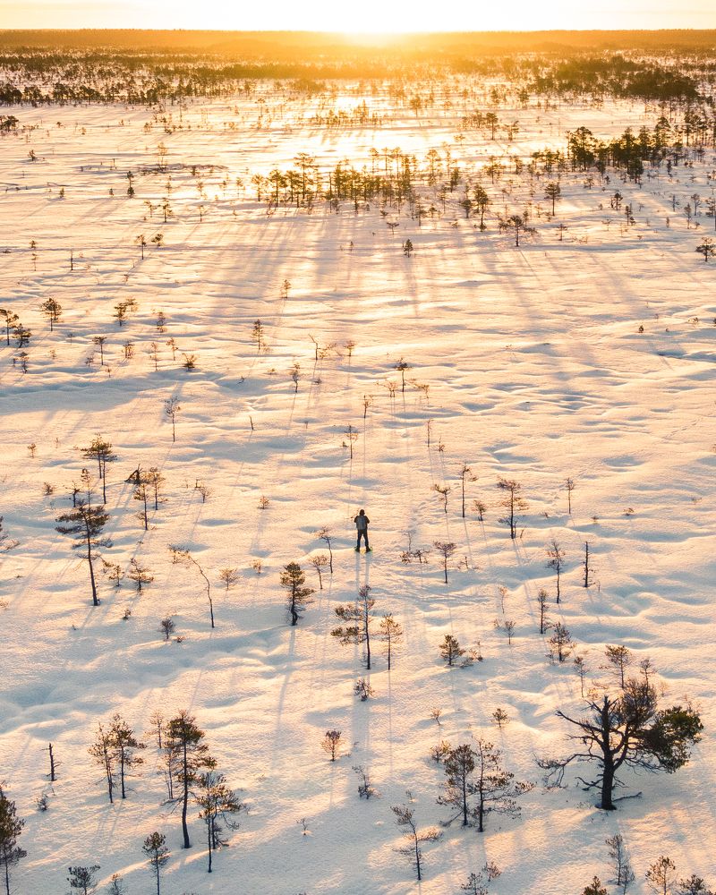 Photograph by Nikolai Mordan