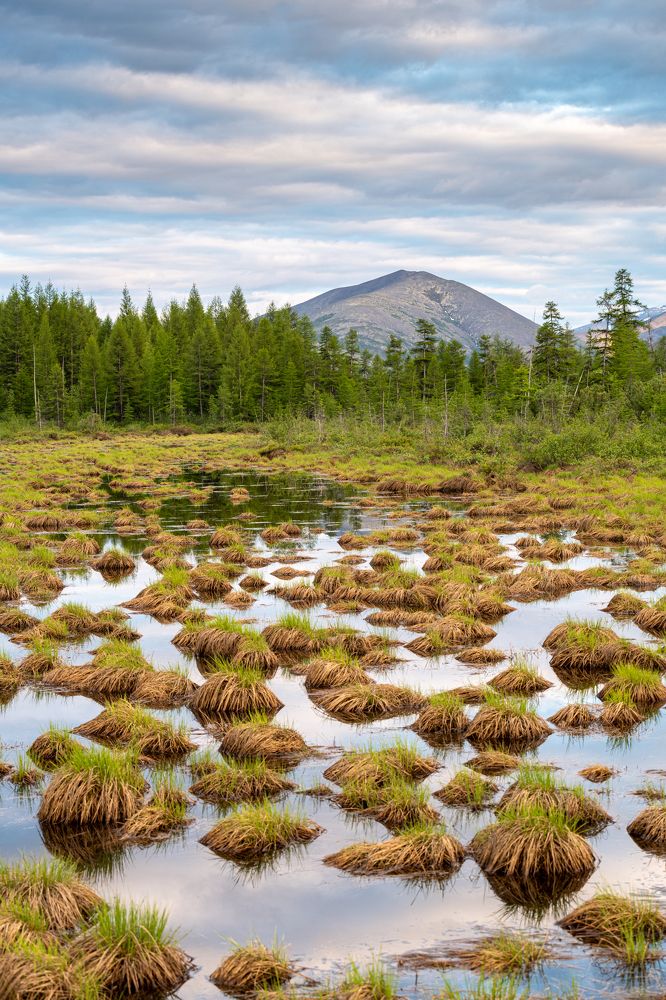 Photograph by Антон Жирнов