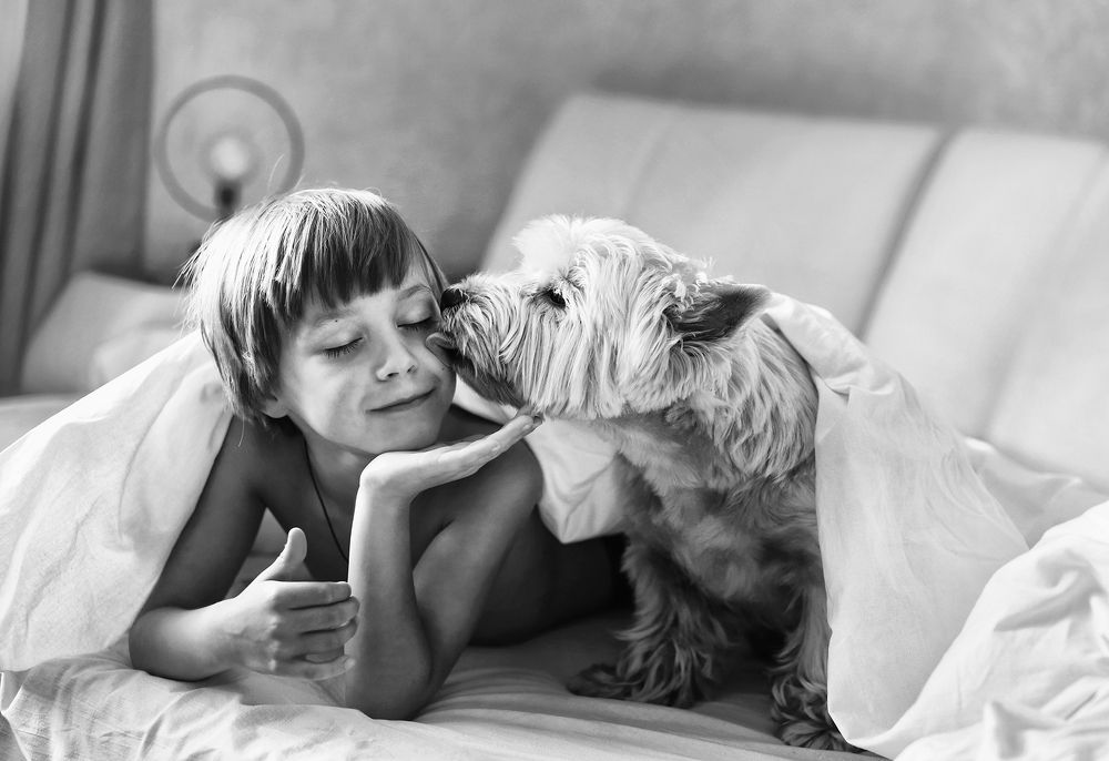 Photograph by Анастасия Ярмак