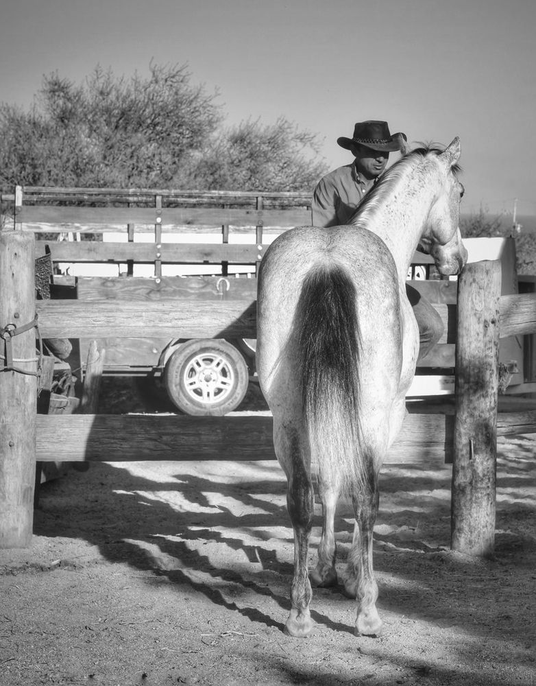 Фотография автора Gabriela Bonilla