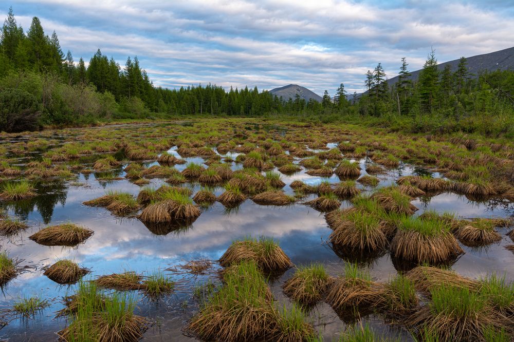 Photograph by Антон Жирнов