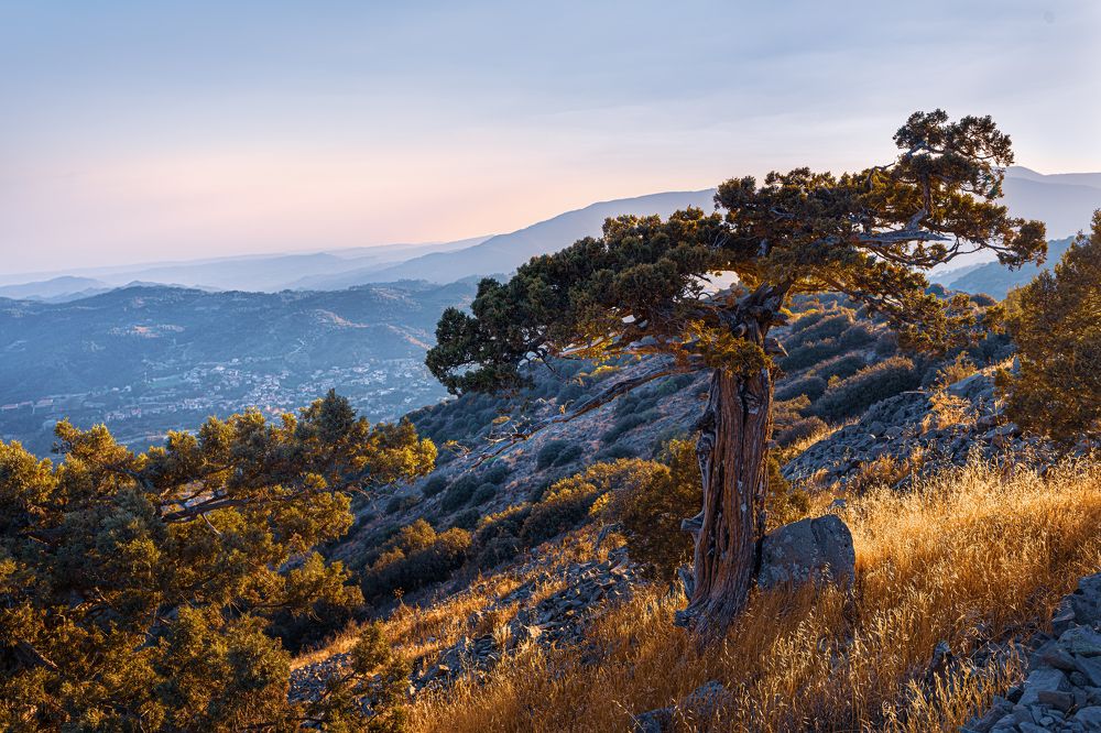 Photograph by Svetlana Tertyshnaya