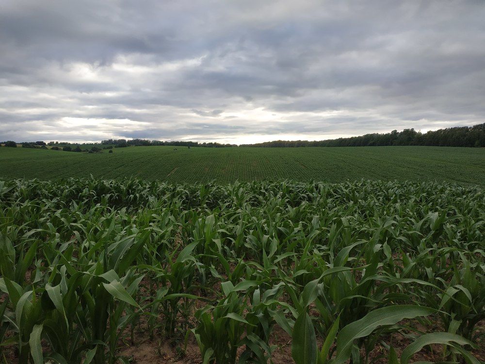 Photograph by Алексей Чурушкин