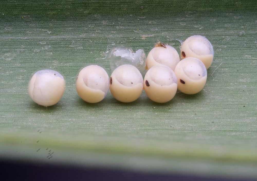 Photograph by MILTON H RUIZ CANTO