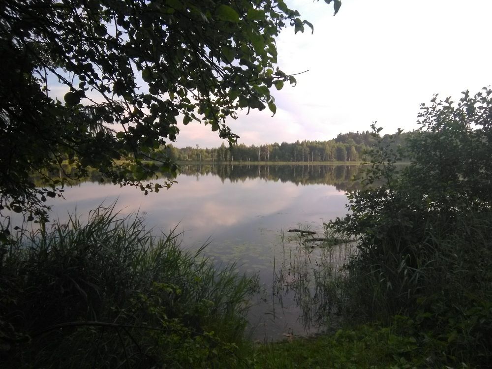 Photograph by Сергей Розочкин