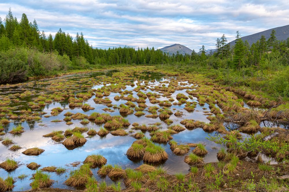 Photograph by Антон Жирнов