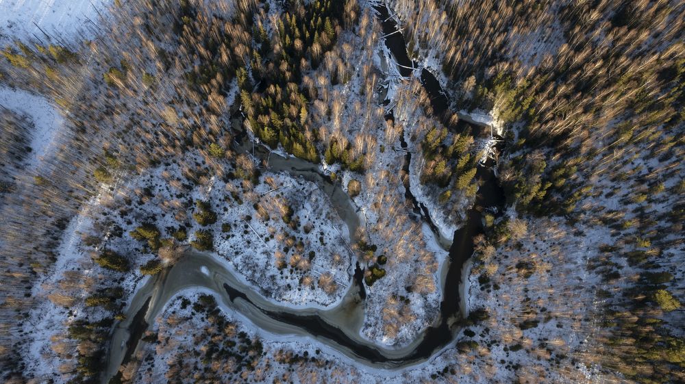 Photograph by Татьяна Борисова