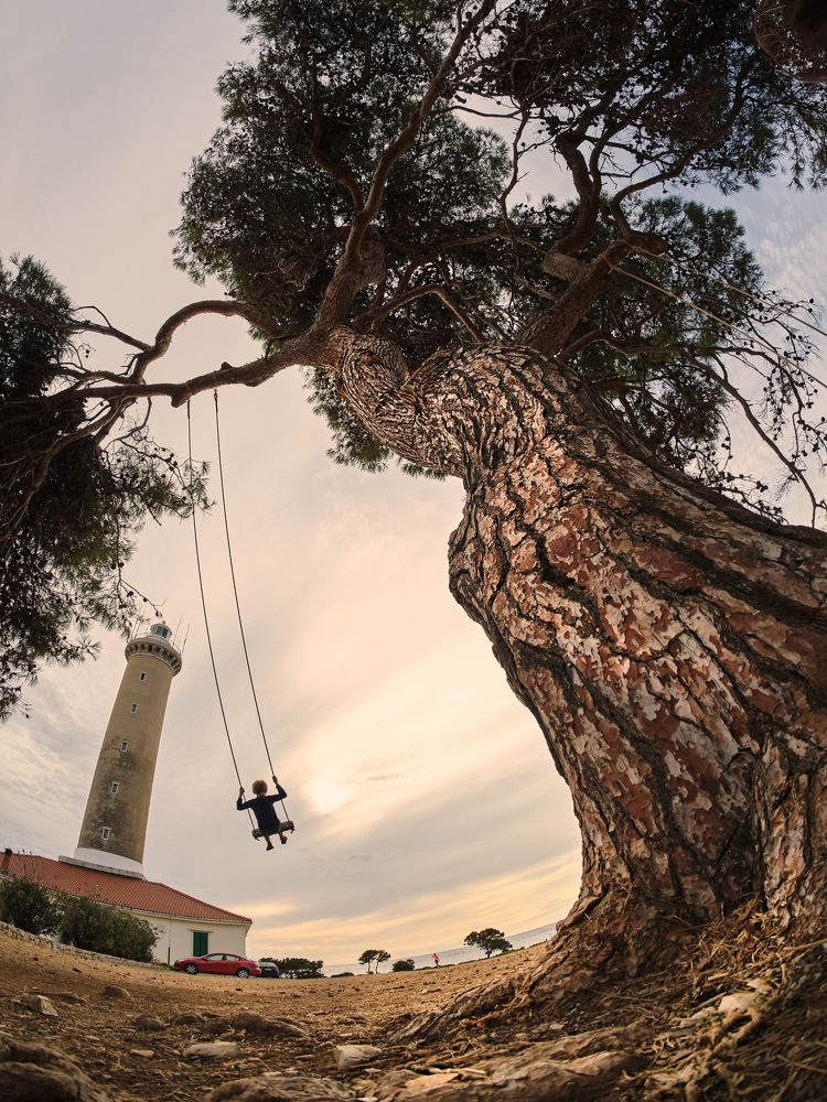 Toward sun... Summer 2021