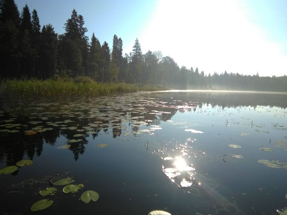 Photograph by Сергей Розочкин