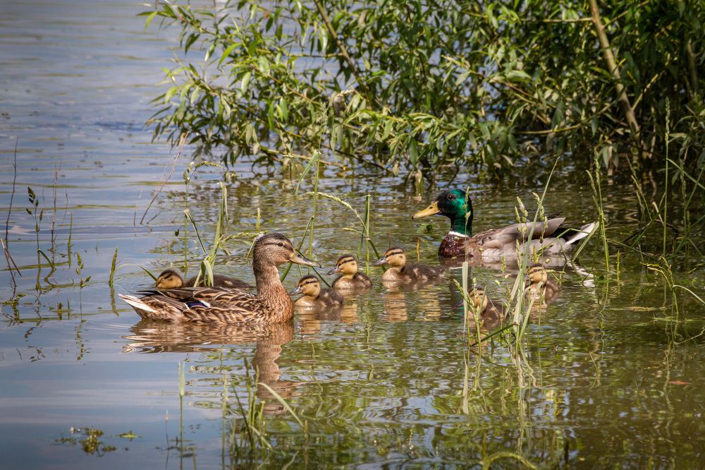 Photograph by Светлана Верзилина
