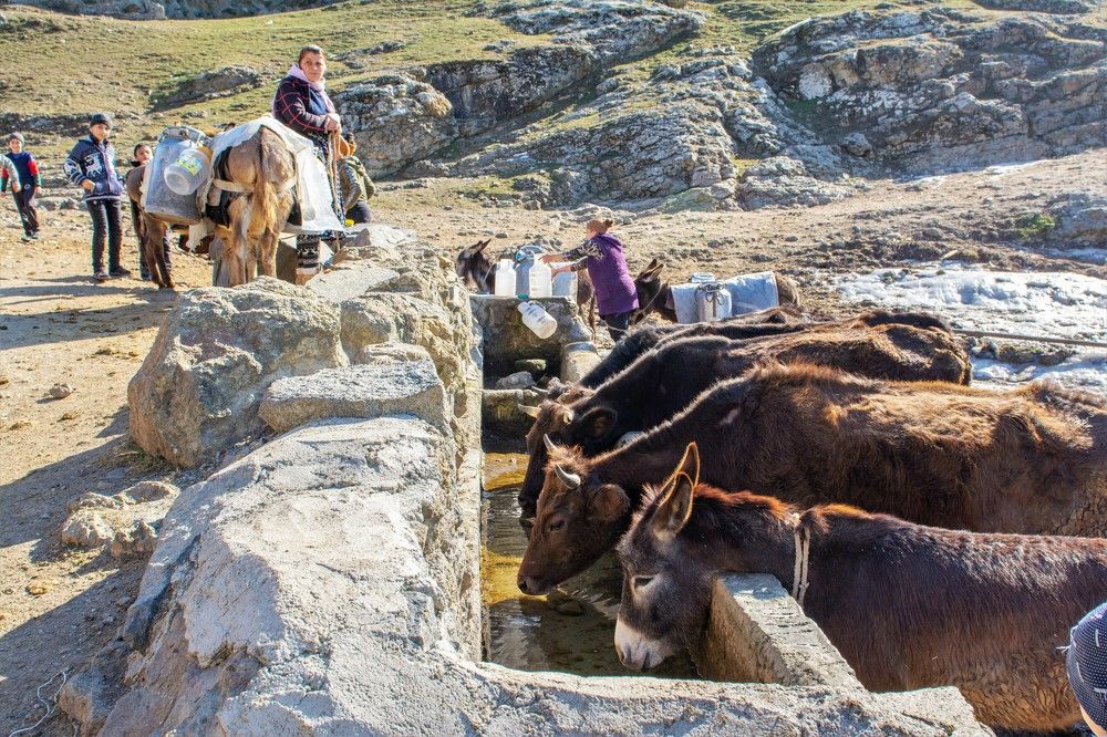 Единственный источник воды
