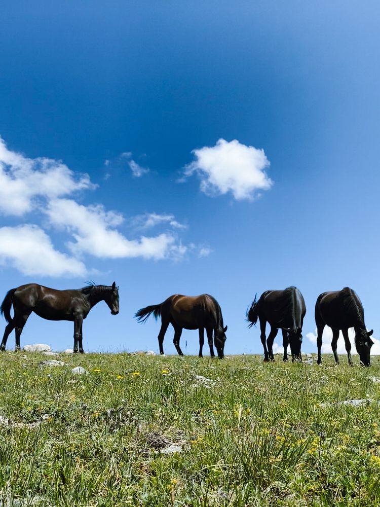 Photograph by Ирина Павленко